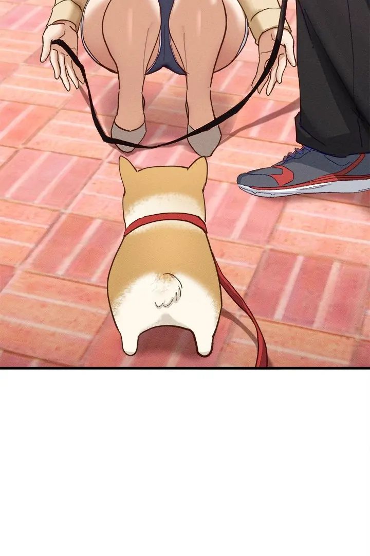 I Became a Dog!