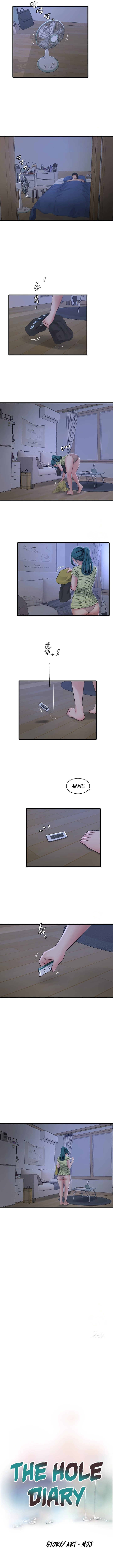 The Hole Diary