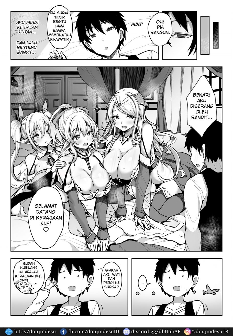 Elf Harem Chapter 1