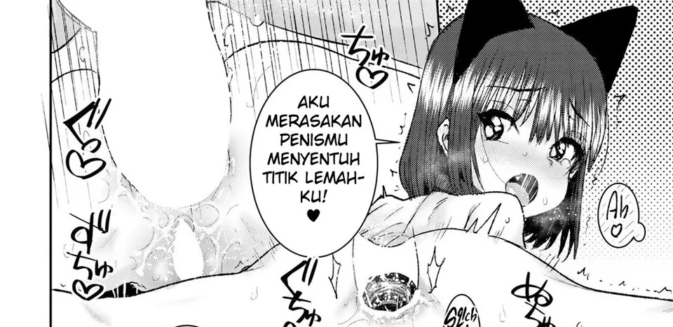 Nekomimi Anaru Paaru Chapter 1