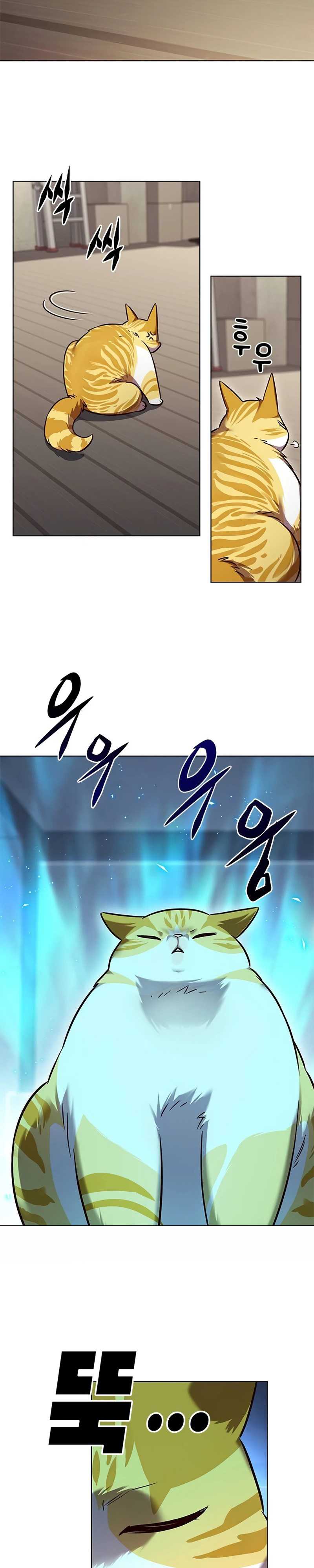 Eleceed