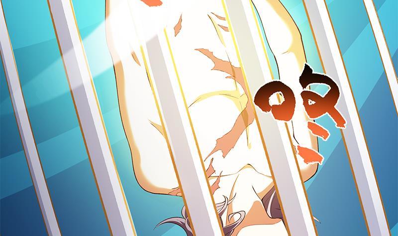 Destiny of Dragon Gods