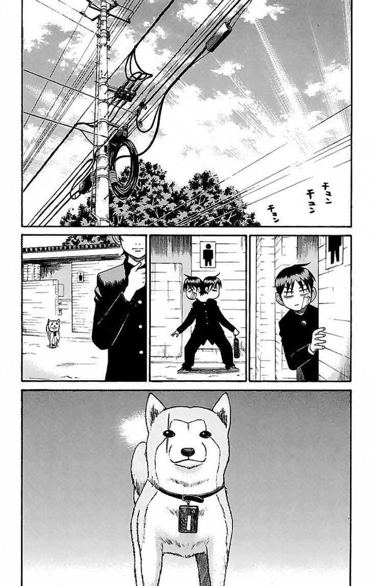 Nanba MG5