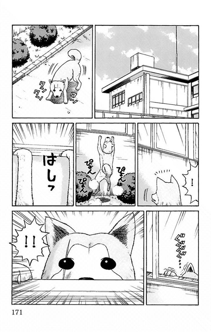 Nanba MG5