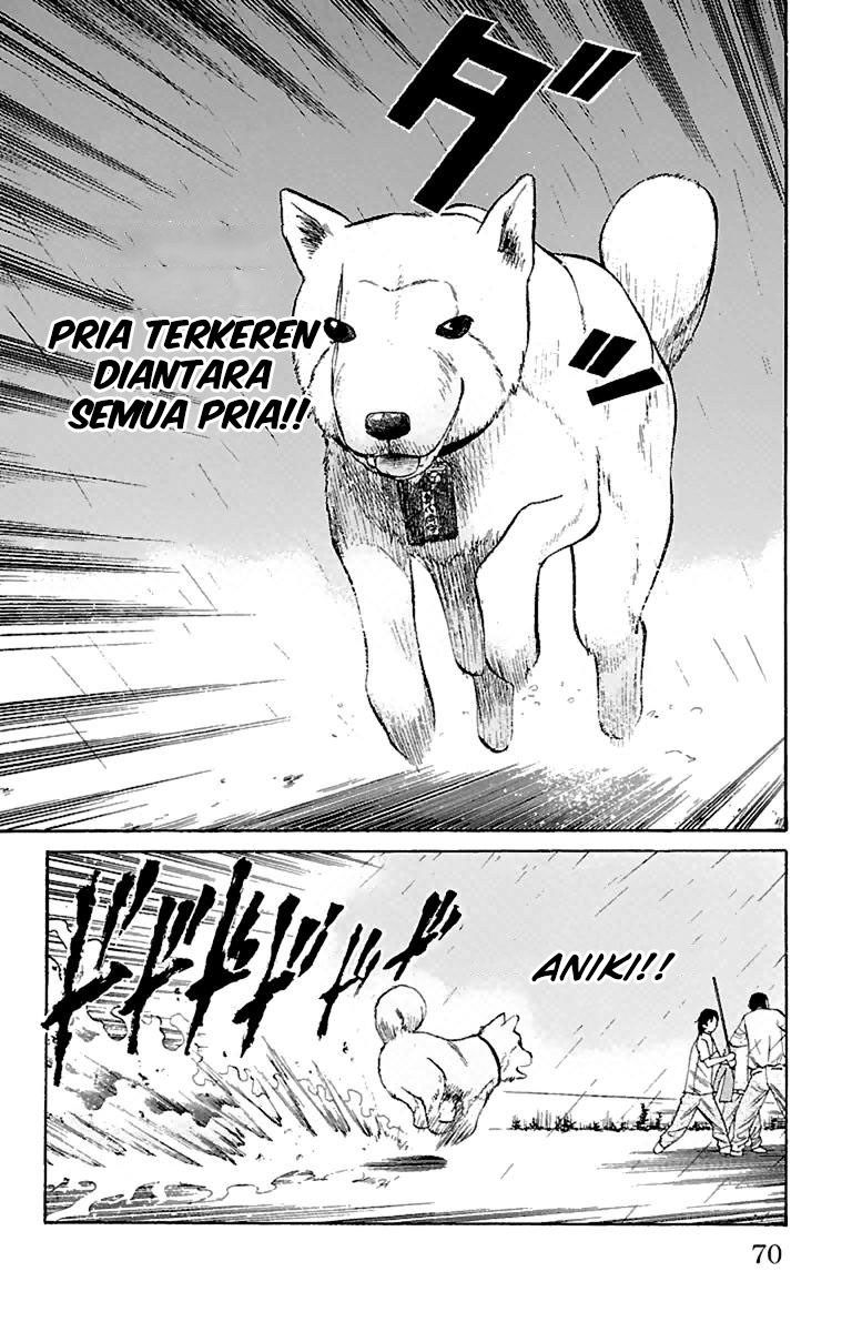 Nanba MG5