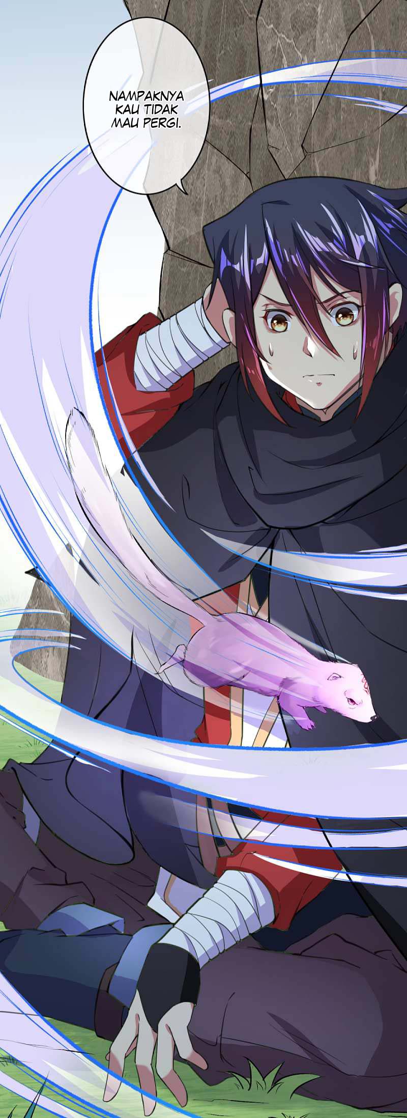 Invincible sword Domain