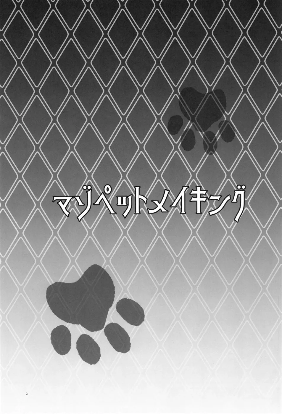 Maso Pet Making + Paper Chapter 1