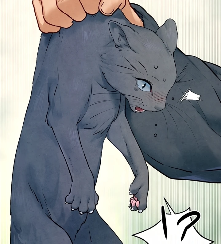 Moby Dick Chapter 49