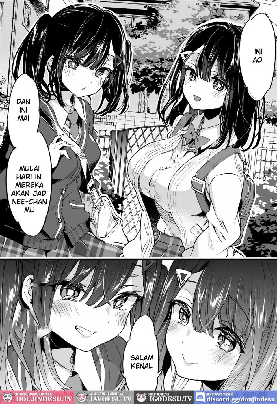 Onee-chan ga Yattekita! Chapter 1