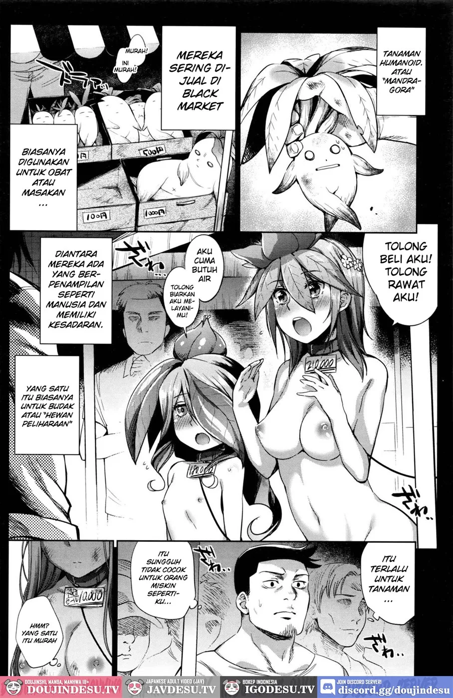 Shokubutsu no Sodatekata Chapter 1