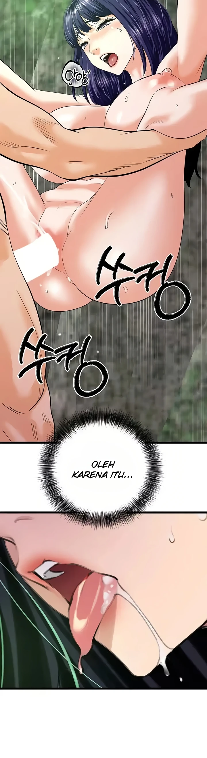 SSS-Class Camouflage Agent Chapter 41