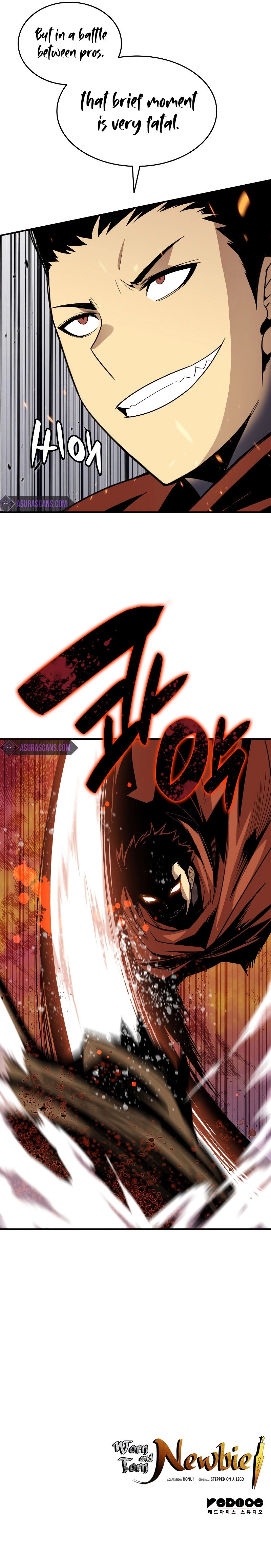 Worn and Torn Newbie