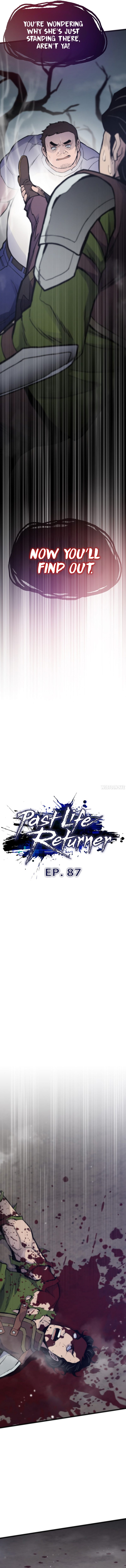 Past Life Returner