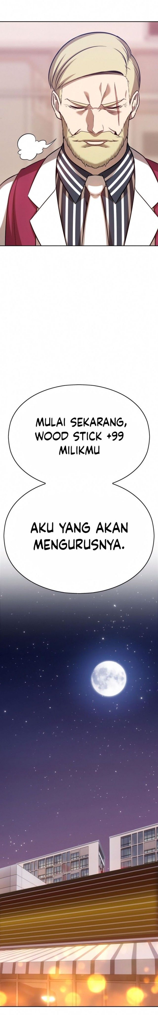 +99 Wooden Stick