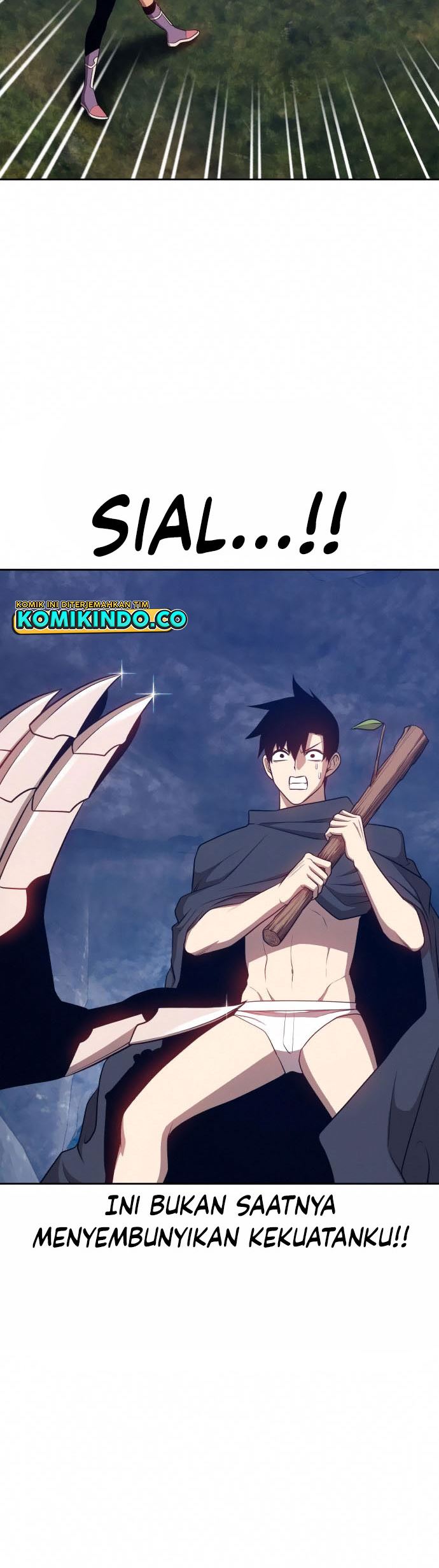+99 Wooden Stick