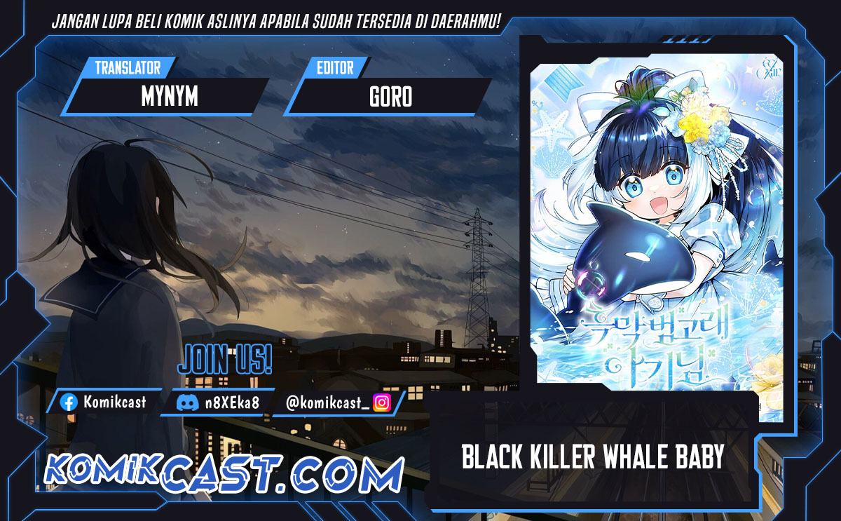 Black Killer Whale Baby
