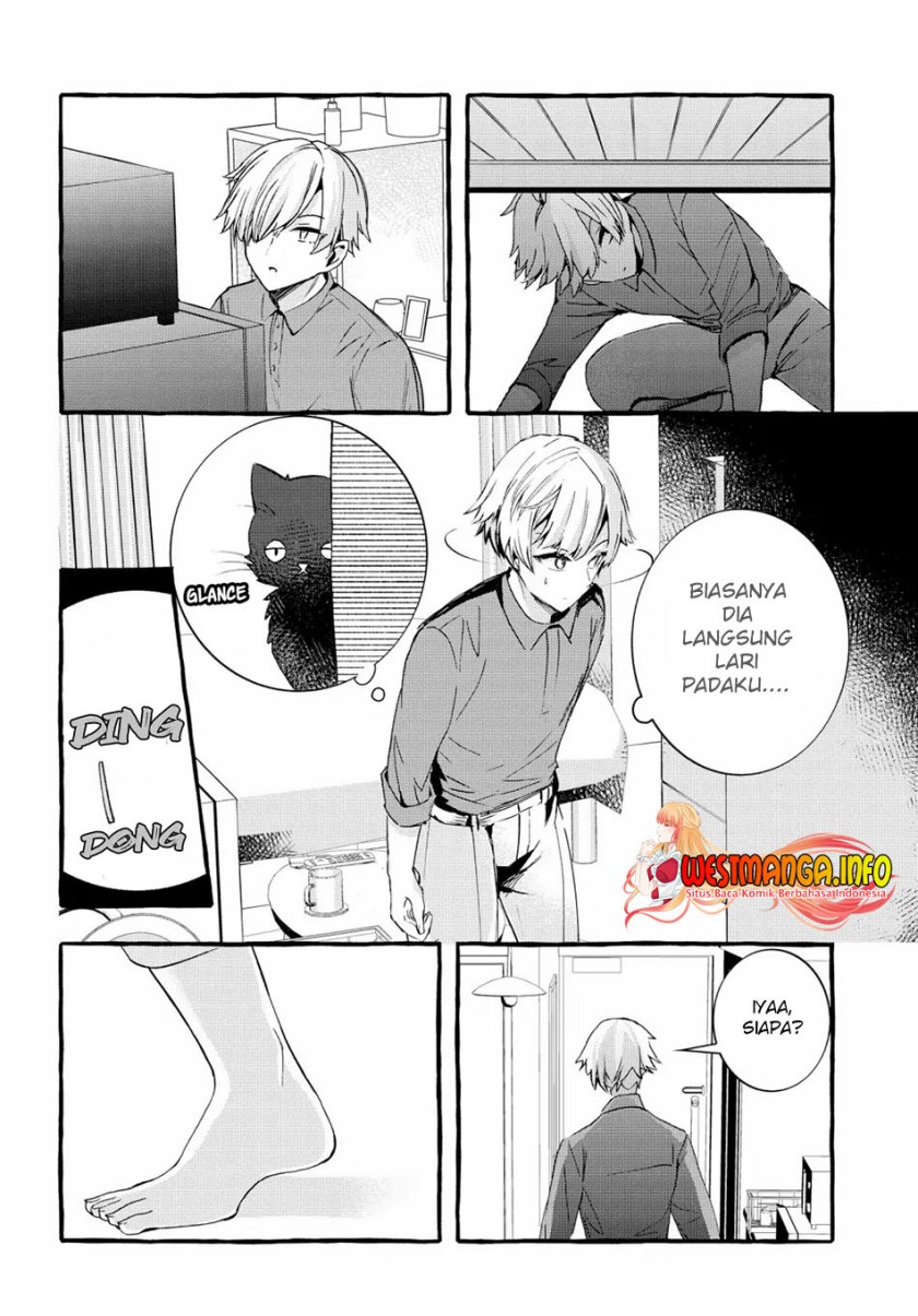 Chiteki de Cool na Kouhai Bijo, Ore no Kai Neko ni naru
