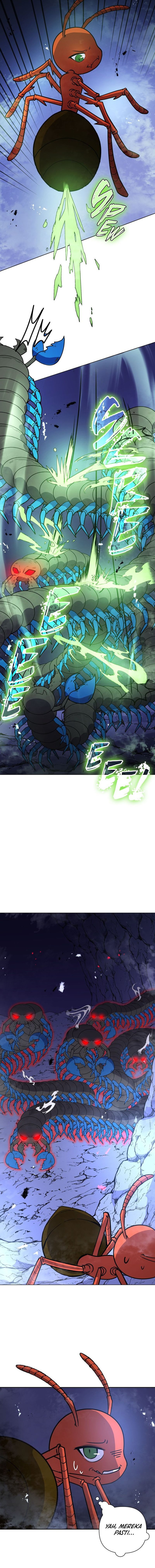 Chrysalis