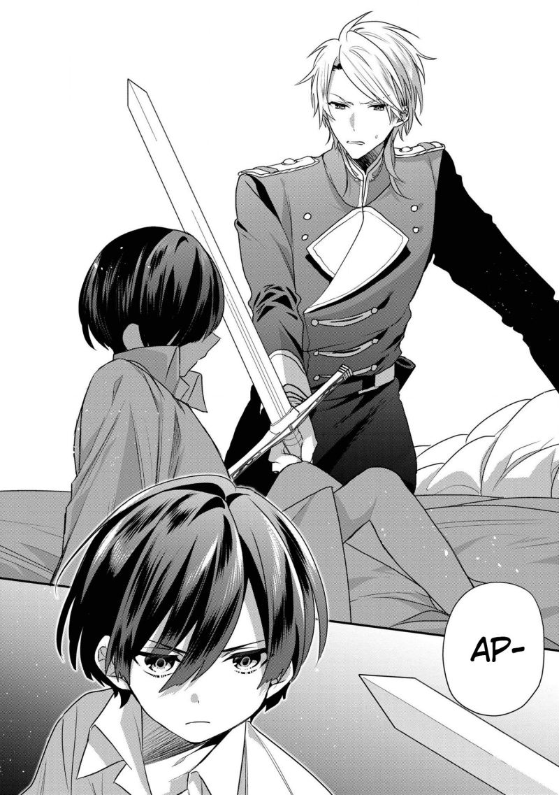 Dai Nana Ouji ni Umareta Kedo, Nani Surya Iino?