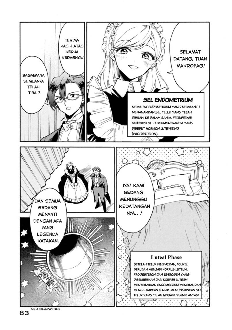 Hataraku Saibou LADY