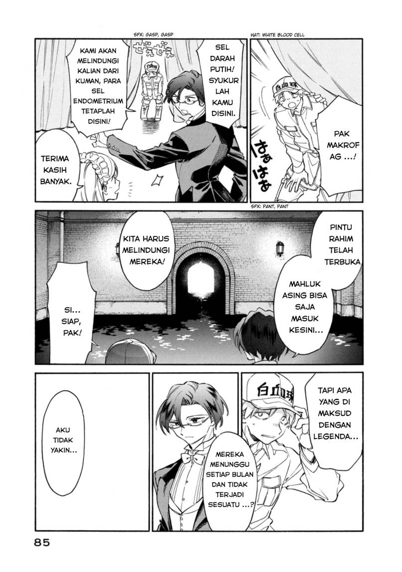 Hataraku Saibou LADY