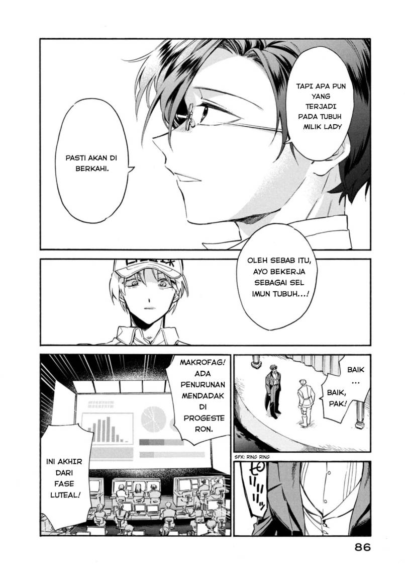 Hataraku Saibou LADY