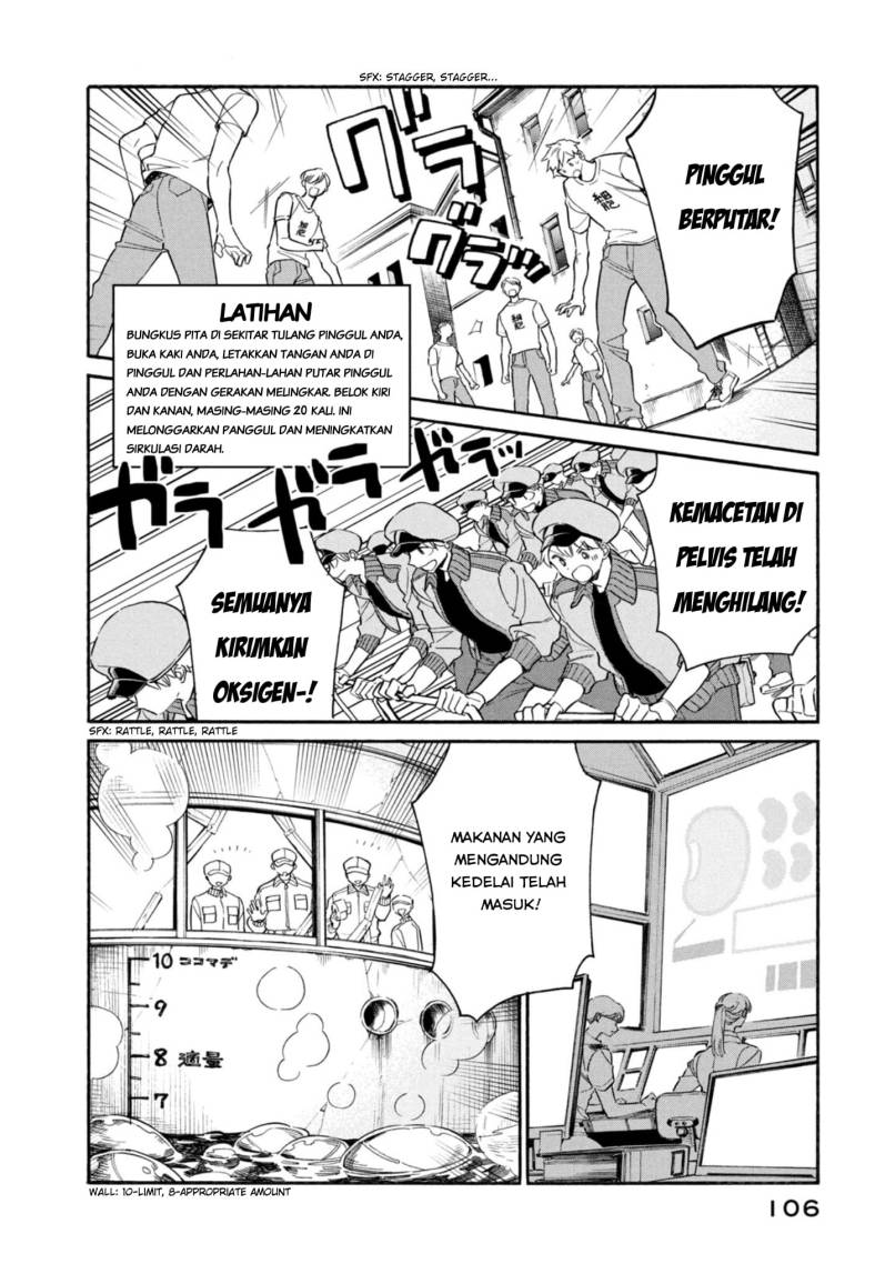 Hataraku Saibou LADY