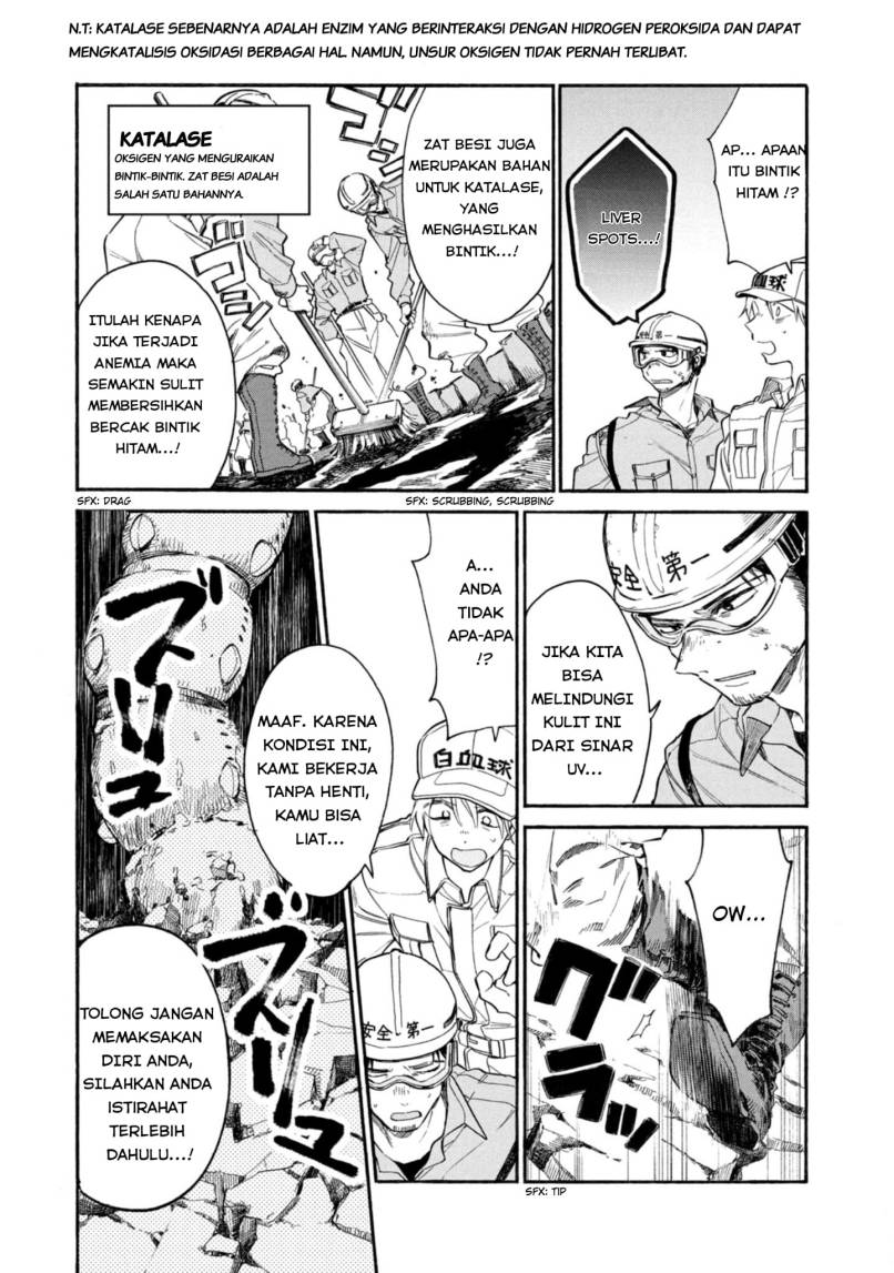 Hataraku Saibou LADY Chapter 4