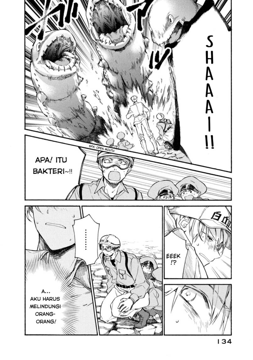 Hataraku Saibou LADY Chapter 4