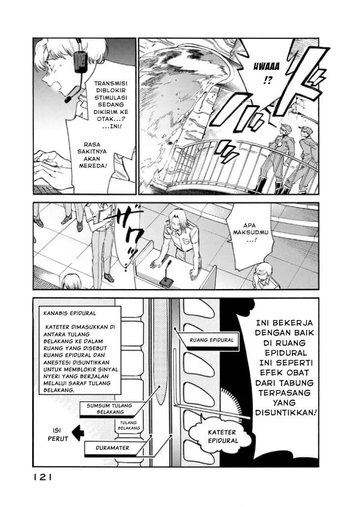 Hataraku Saibou LADY