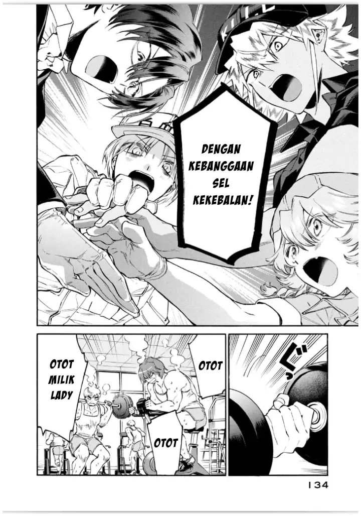 Hataraku Saibou LADY