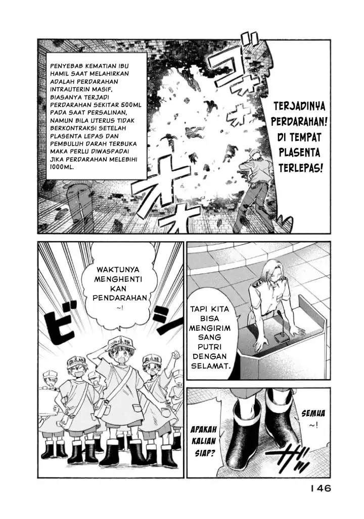 Hataraku Saibou LADY