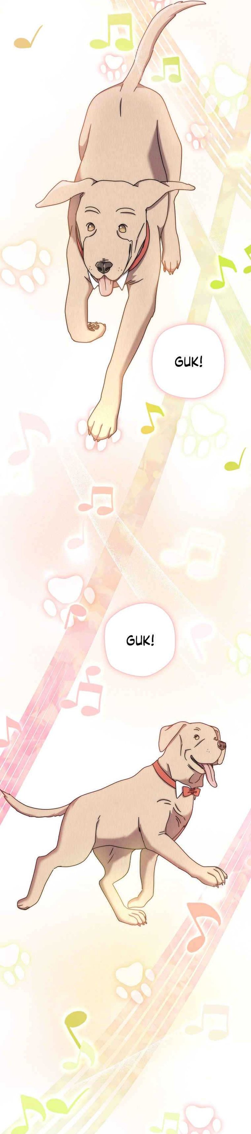 High School Musical Genius Is Paganini Reincarnated
