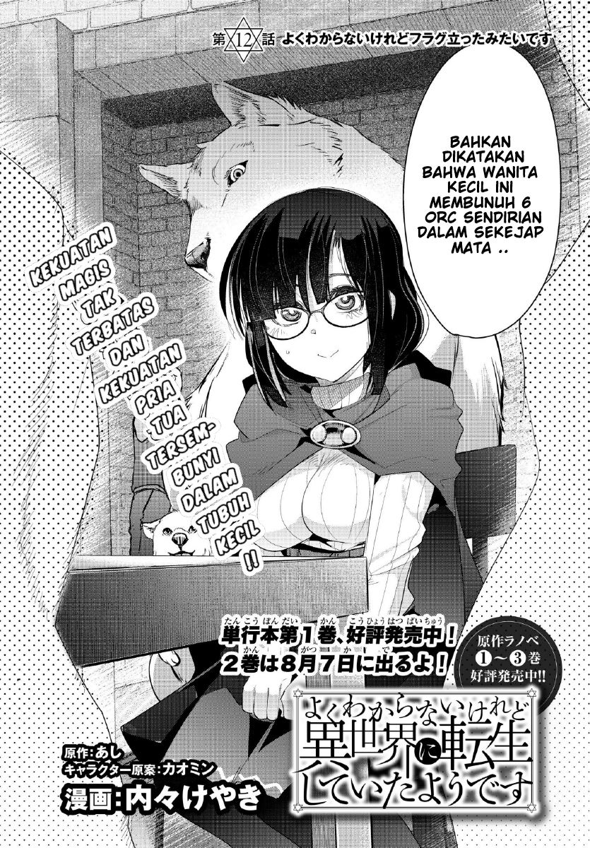 I Don’t Really Get It but It Looks Like I Was Reincarnated in Another World (Yoku Wakaranai keredo Isekai ni Tensei Shiteita You Desu)