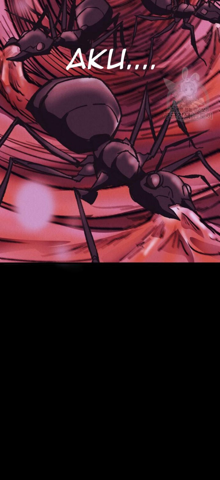 Insector
