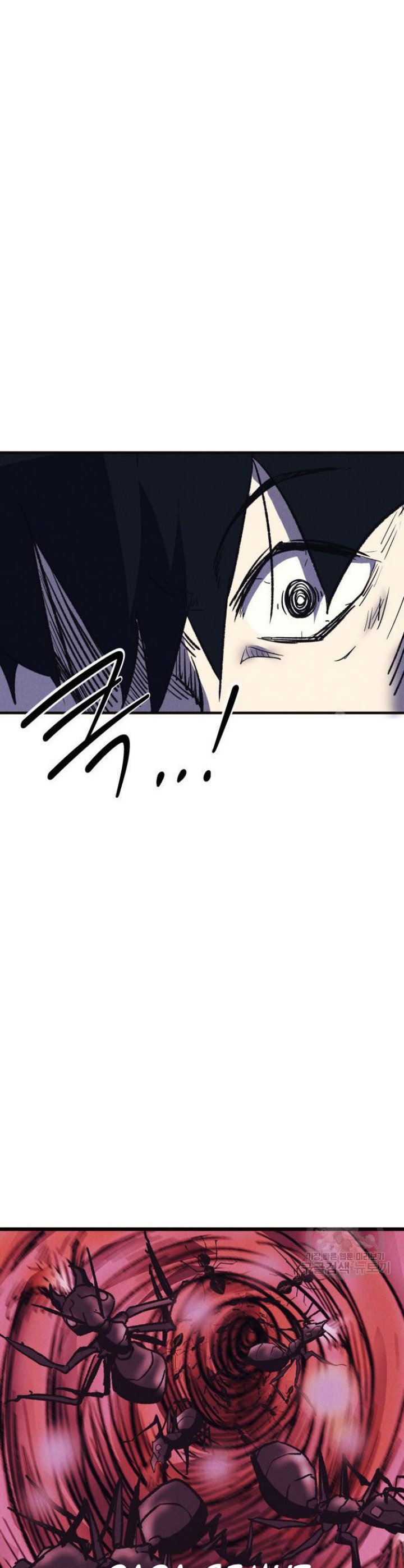 Insector