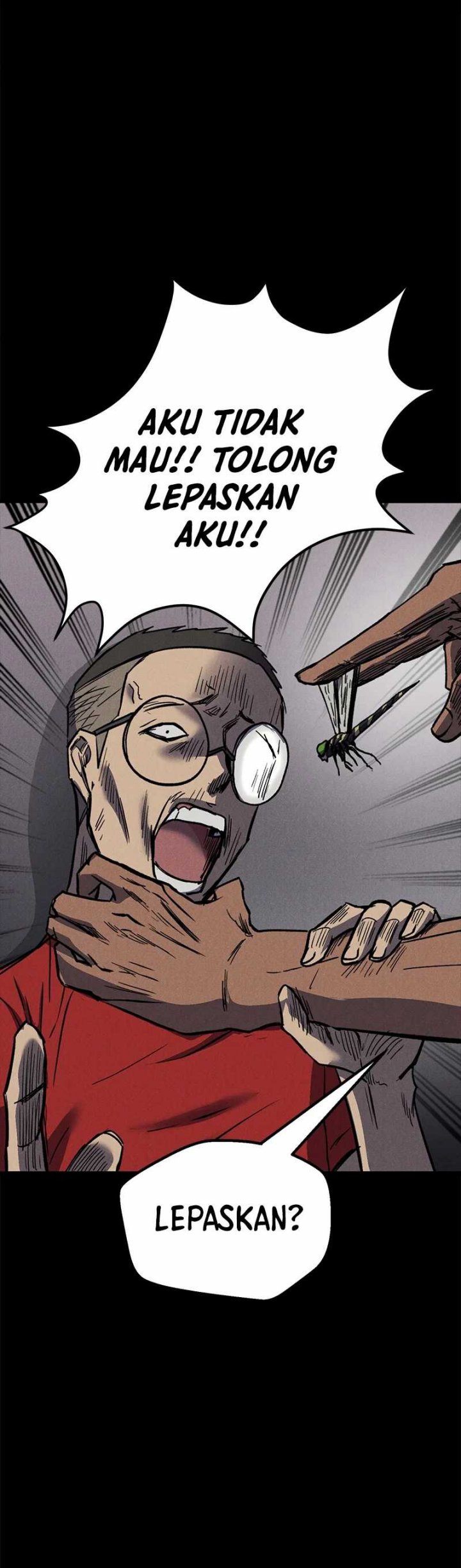 Insector