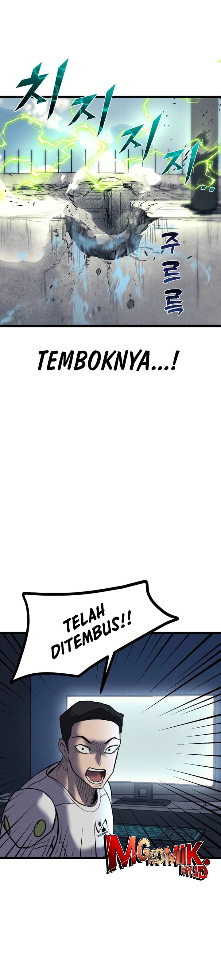 Insector