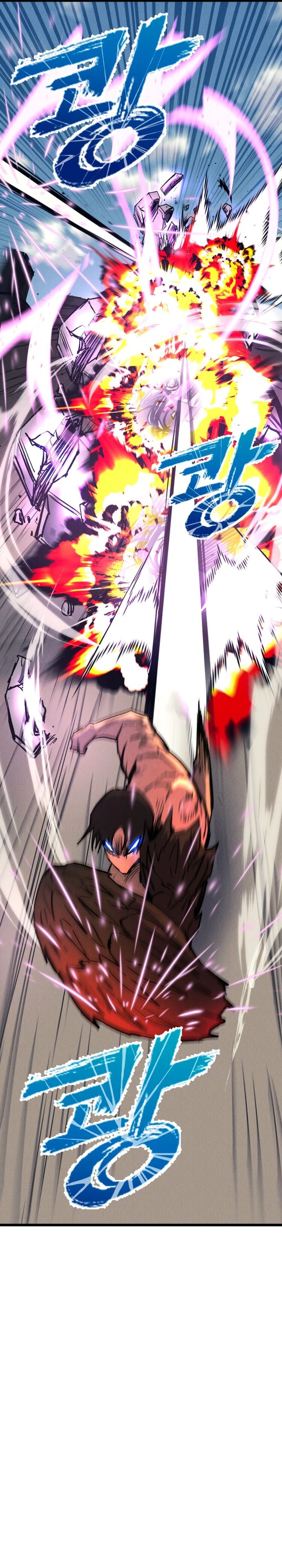 Insector