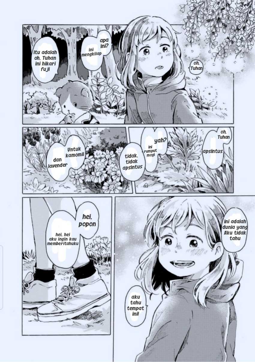 Isekai Camp