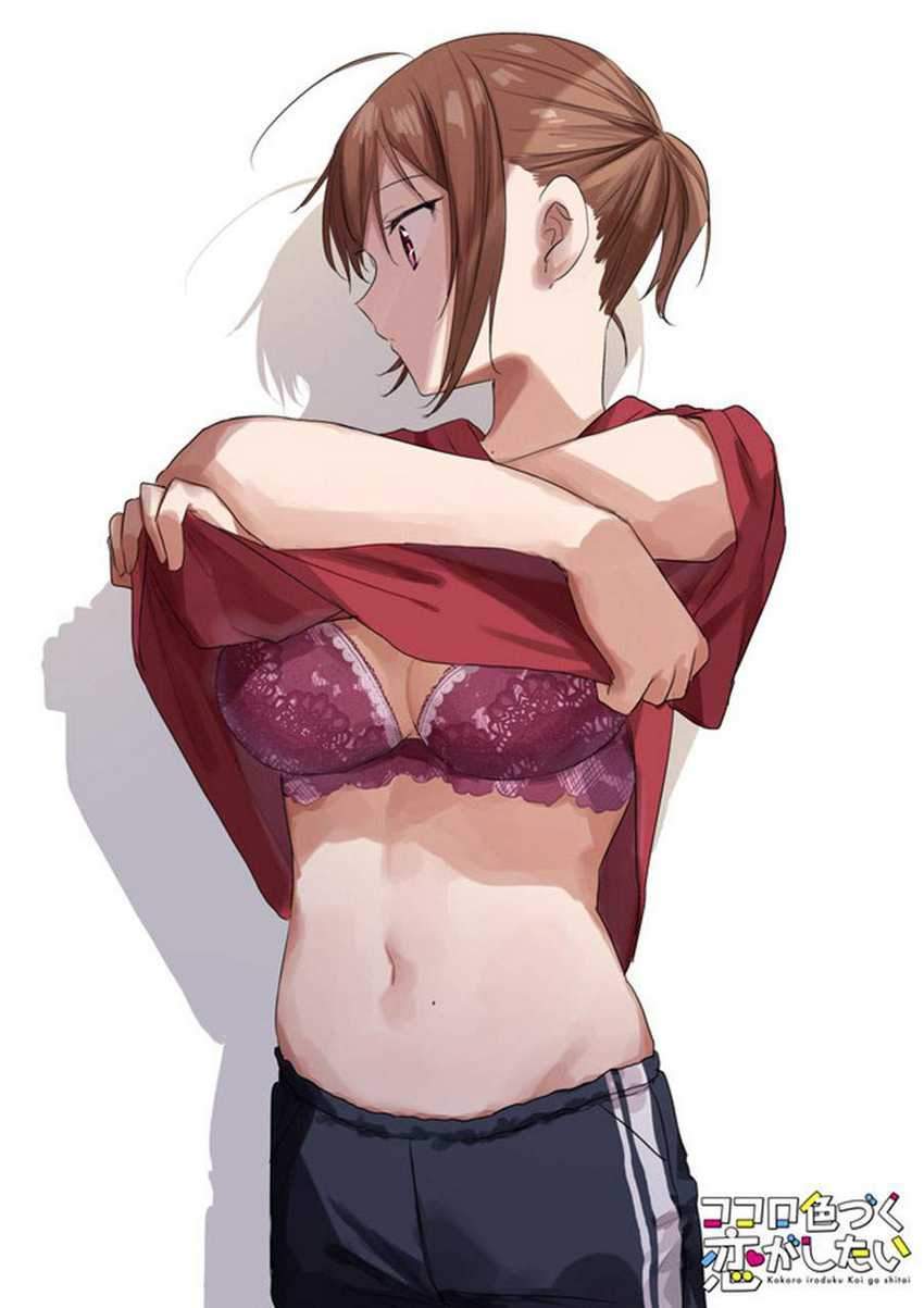Kokoro Irozuku Koi ga Shitai