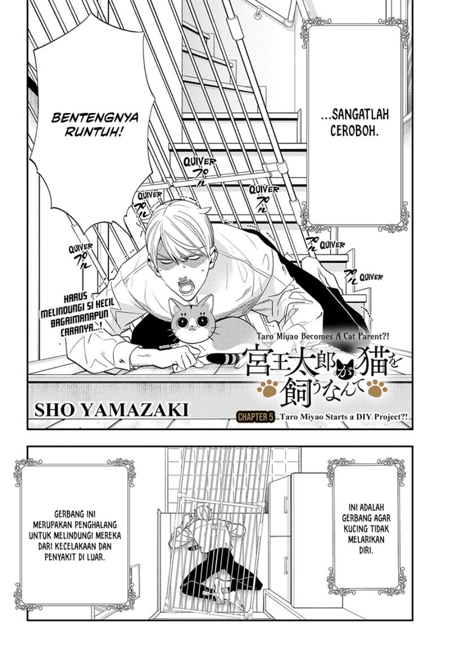 Miyaou Tarou ga Neko wo Kau Nante