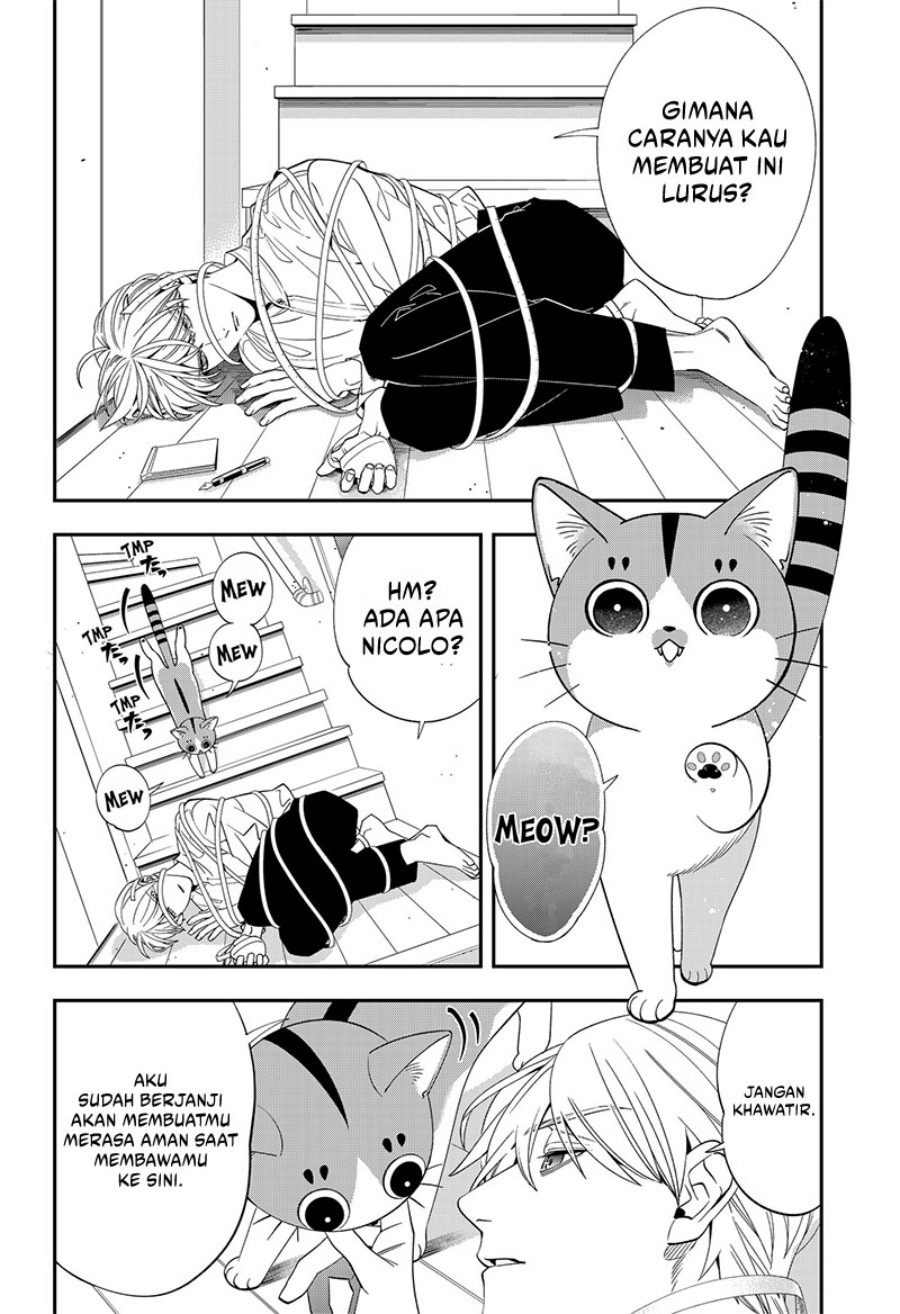 Miyaou Tarou ga Neko wo Kau Nante
