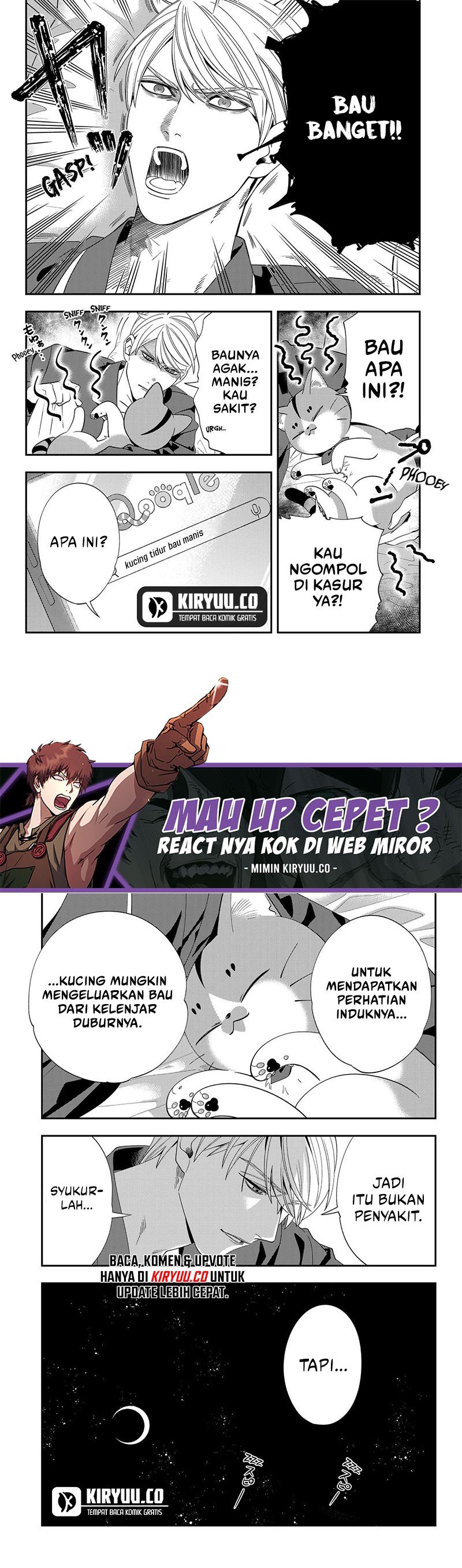 Miyaou Tarou ga Neko wo Kau Nante