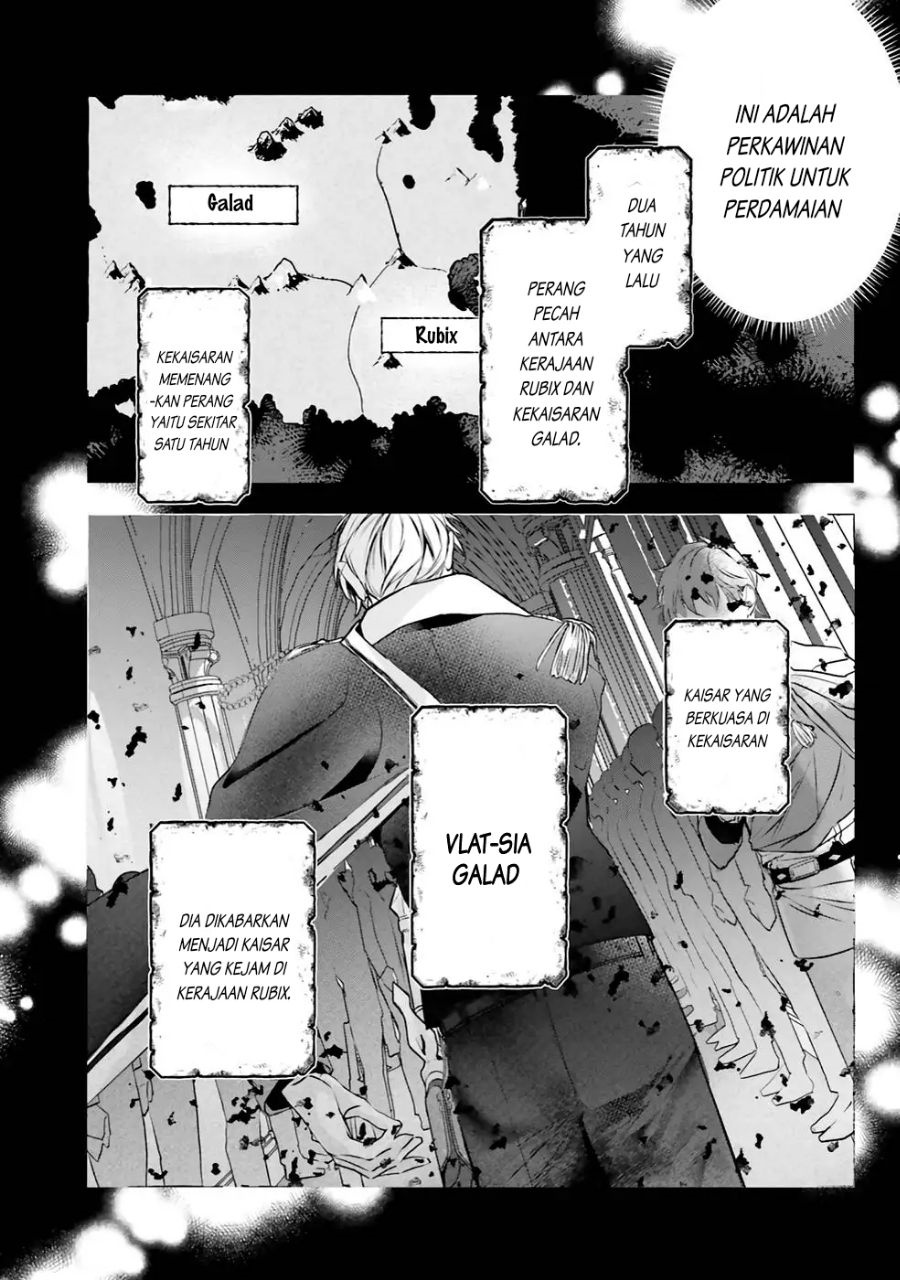 Reikoku Koutei wa Hitojichi Oujo wo Dekiai-chuu