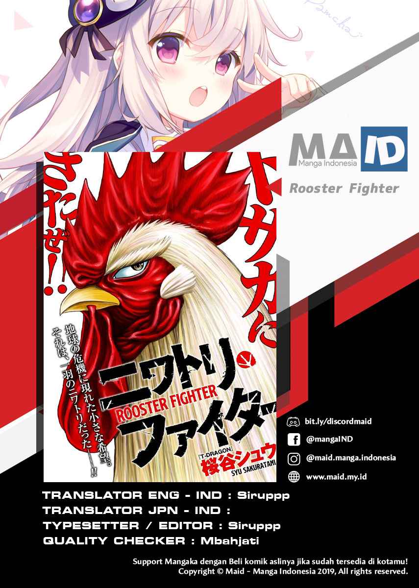 Rooster Fighter