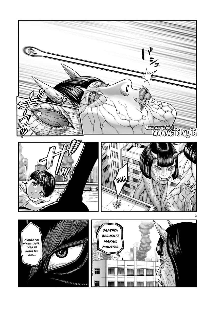 Rooster Fighter