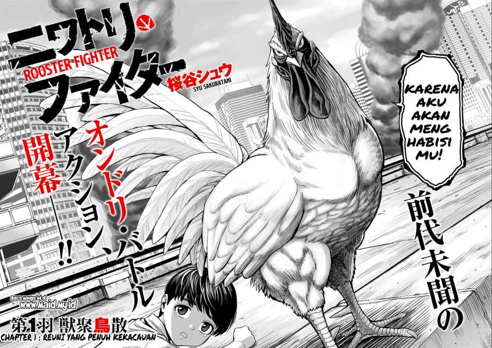 Rooster Fighter
