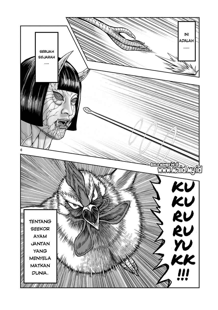 Rooster Fighter