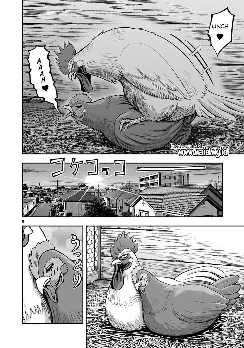 Rooster Fighter